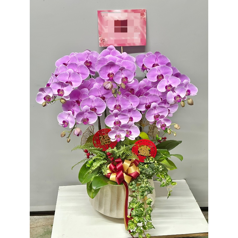 喜慶蘭花085