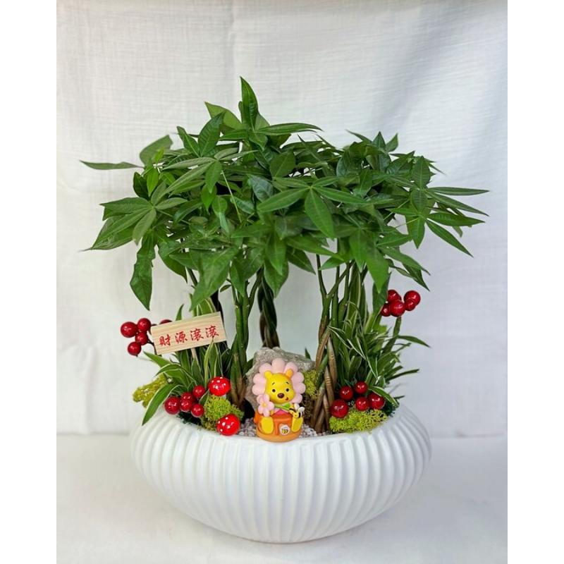 桌上型盆栽100