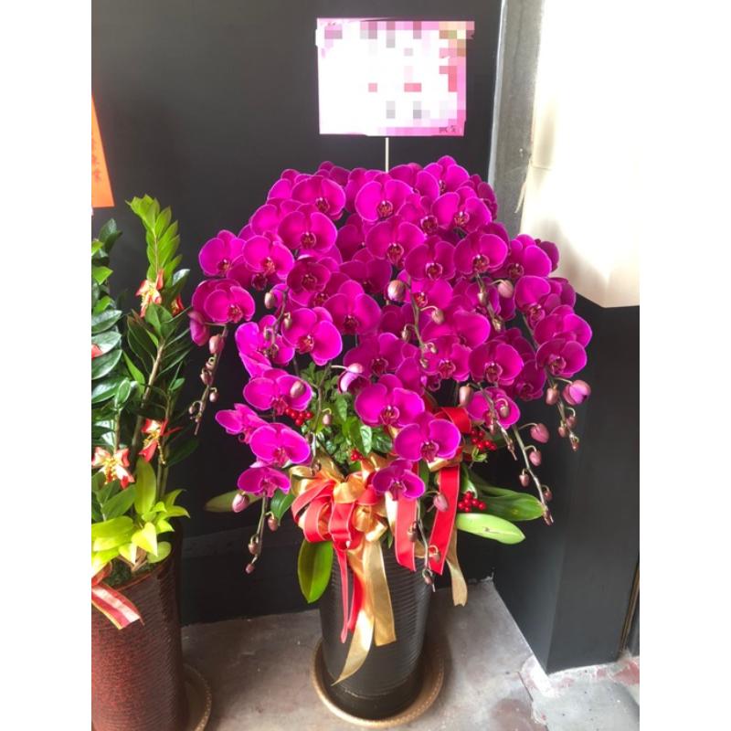 喜慶蘭花0033