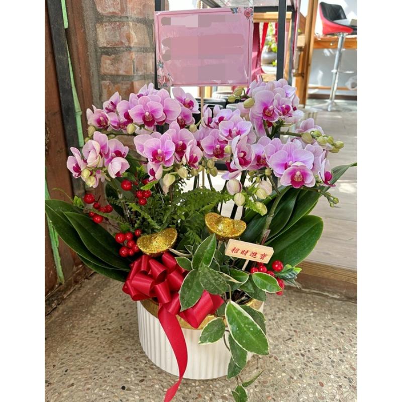喜慶蘭花0071