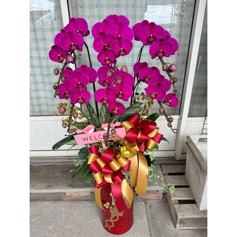 喜慶蘭花0068