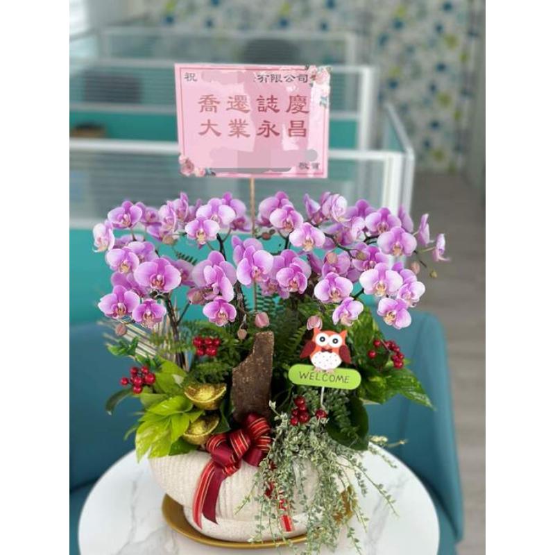 喜慶蘭花0079