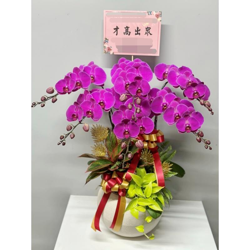 喜慶蘭花0080