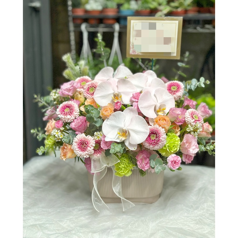 喜事盆花B00046