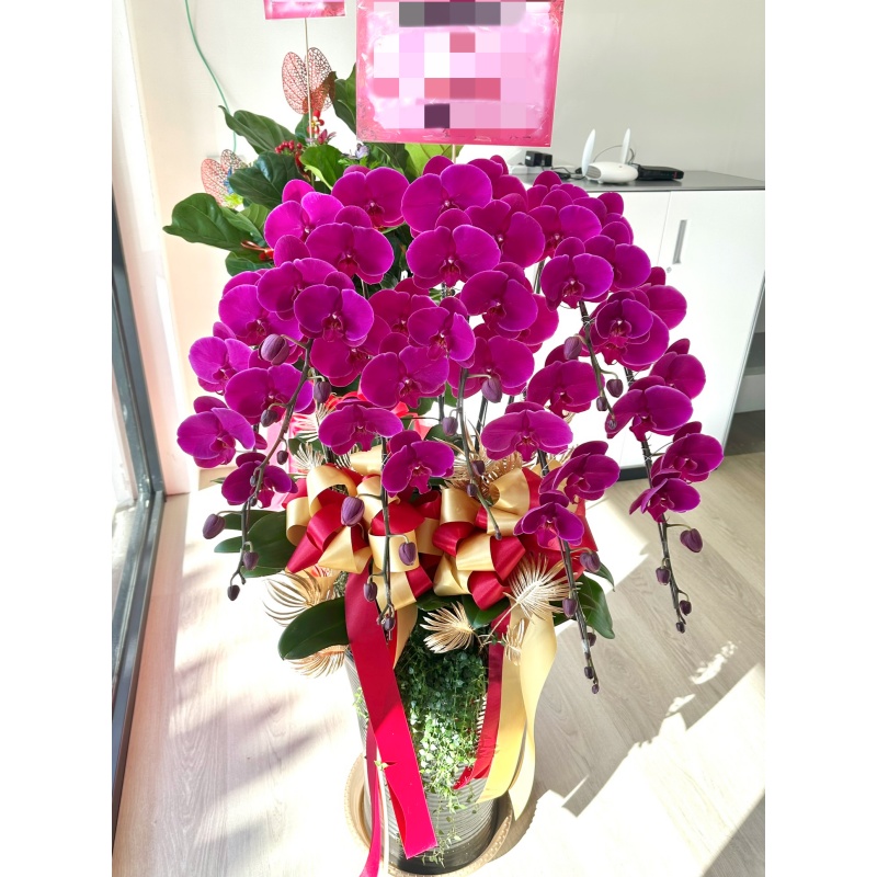 喜慶蘭花028